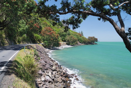 Coromandel, Westküste