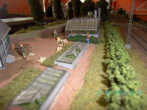 thumbs/bild6348.jpg