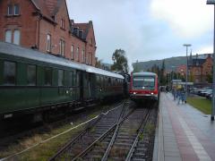 thumbs/simg0049.jpg