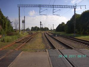 thumbs/bild8166.jpg
