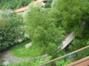 thumbs/bild8258.jpg
