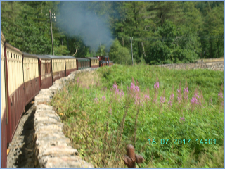 BILD3103.jpg