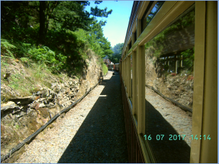BILD3111.jpg
