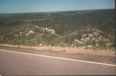 thumbs/dcp_0080.jpg