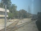 thumbs/img_1785.jpg