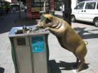 thumbs/img_1862.jpg
