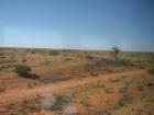 thumbs/img_1903.jpg