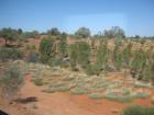thumbs/img_1905.jpg