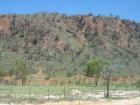 thumbs/img_1919.jpg