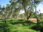 thumbs/img_1947.jpg