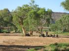 thumbs/img_1948.jpg