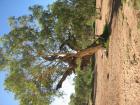 thumbs/img_1949.jpg