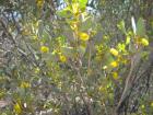 thumbs/img_1953.jpg