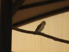 thumbs/img_1954.jpg