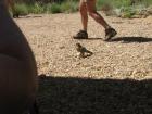 thumbs/img_1960.jpg