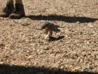 thumbs/img_1961.jpg