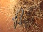 thumbs/img_1970.jpg