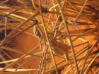 thumbs/img_1972.jpg