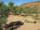 thumbs/img_1984.jpg