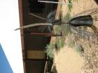 thumbs/img_1994.jpg