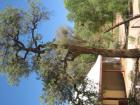 thumbs/img_2000.jpg
