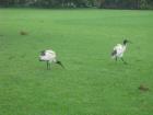 thumbs/img_0693.jpg