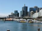 thumbs/img_0782.jpg