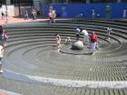 thumbs/img_0785.jpg