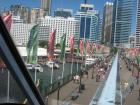 thumbs/img_0806.jpg