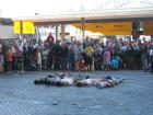 thumbs/img_0838.jpg
