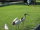 thumbs/img_0849.jpg