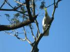 thumbs/img_0852.jpg