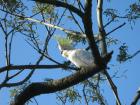 thumbs/img_0853.jpg
