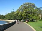 thumbs/img_0855.jpg