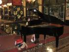 thumbs/img_0865.jpg