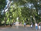 thumbs/img_0914.jpg