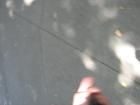 thumbs/img_1090.jpg