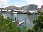 thumbs/img_1099.jpg