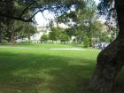 thumbs/img_1108.jpg