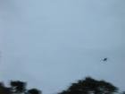 thumbs/img_1116.jpg