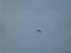 thumbs/img_1117.jpg
