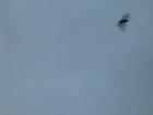 thumbs/img_1118.jpg