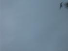 thumbs/img_1119.jpg