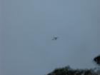 thumbs/img_1120.jpg
