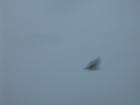 thumbs/img_1121.jpg