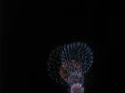 thumbs/img_1136.jpg