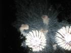 thumbs/img_1147.jpg