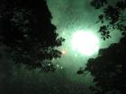thumbs/img_1151.jpg