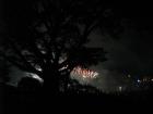 thumbs/img_1162.jpg