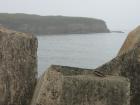 thumbs/img_0618.jpg